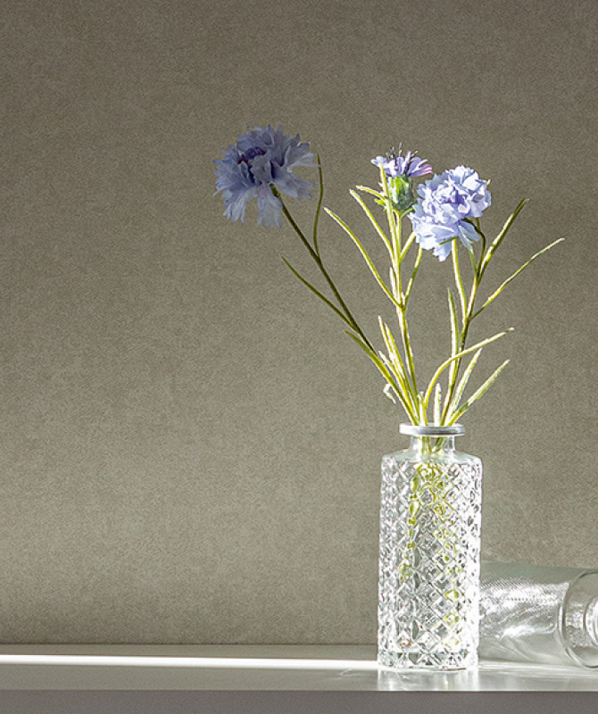 product_image_1