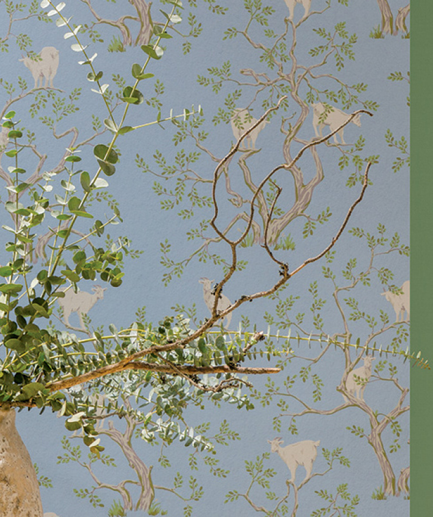 product_image_1
