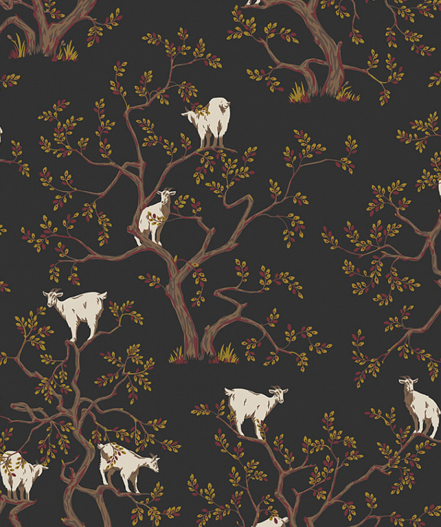 product_image_0