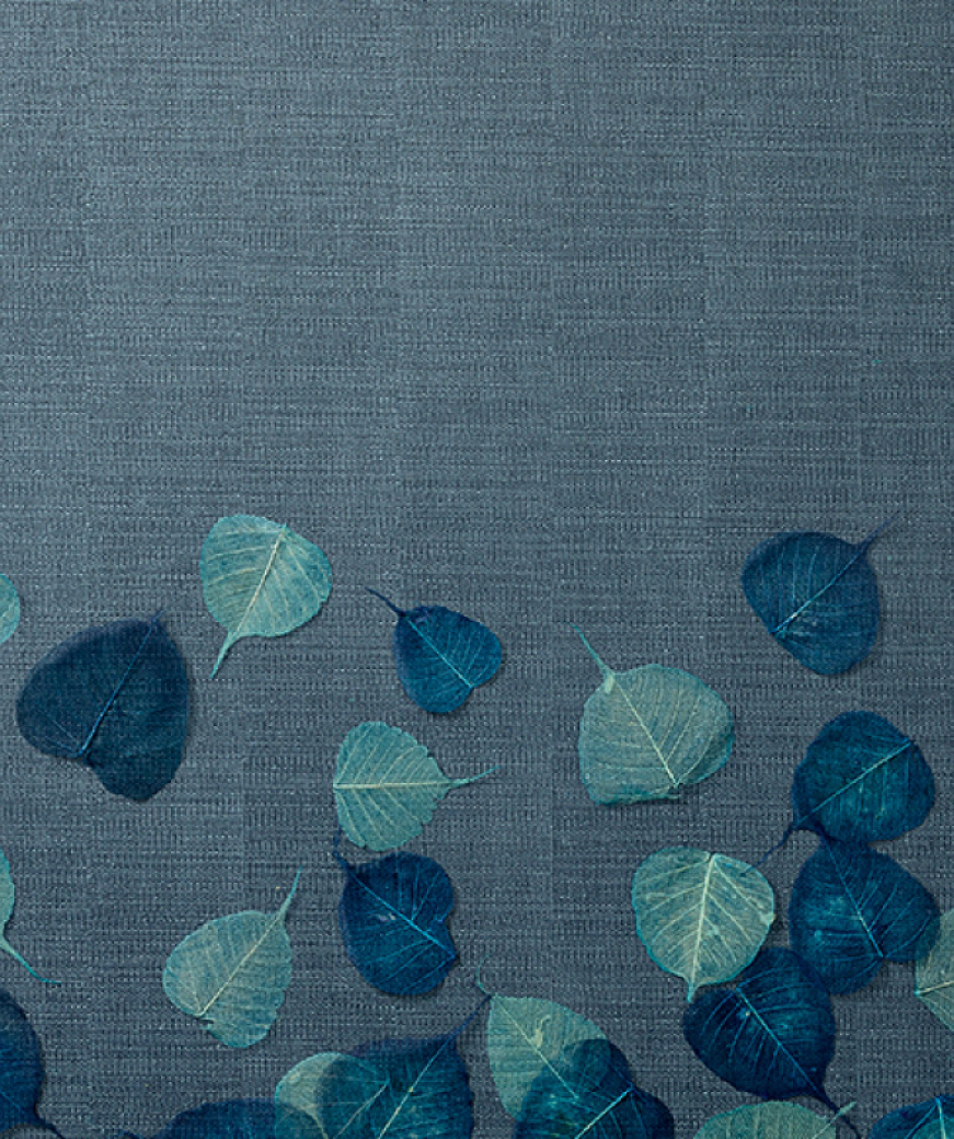 product_image_1