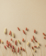 thumb_image_1