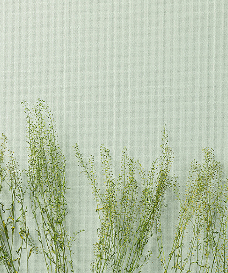 product_image_1