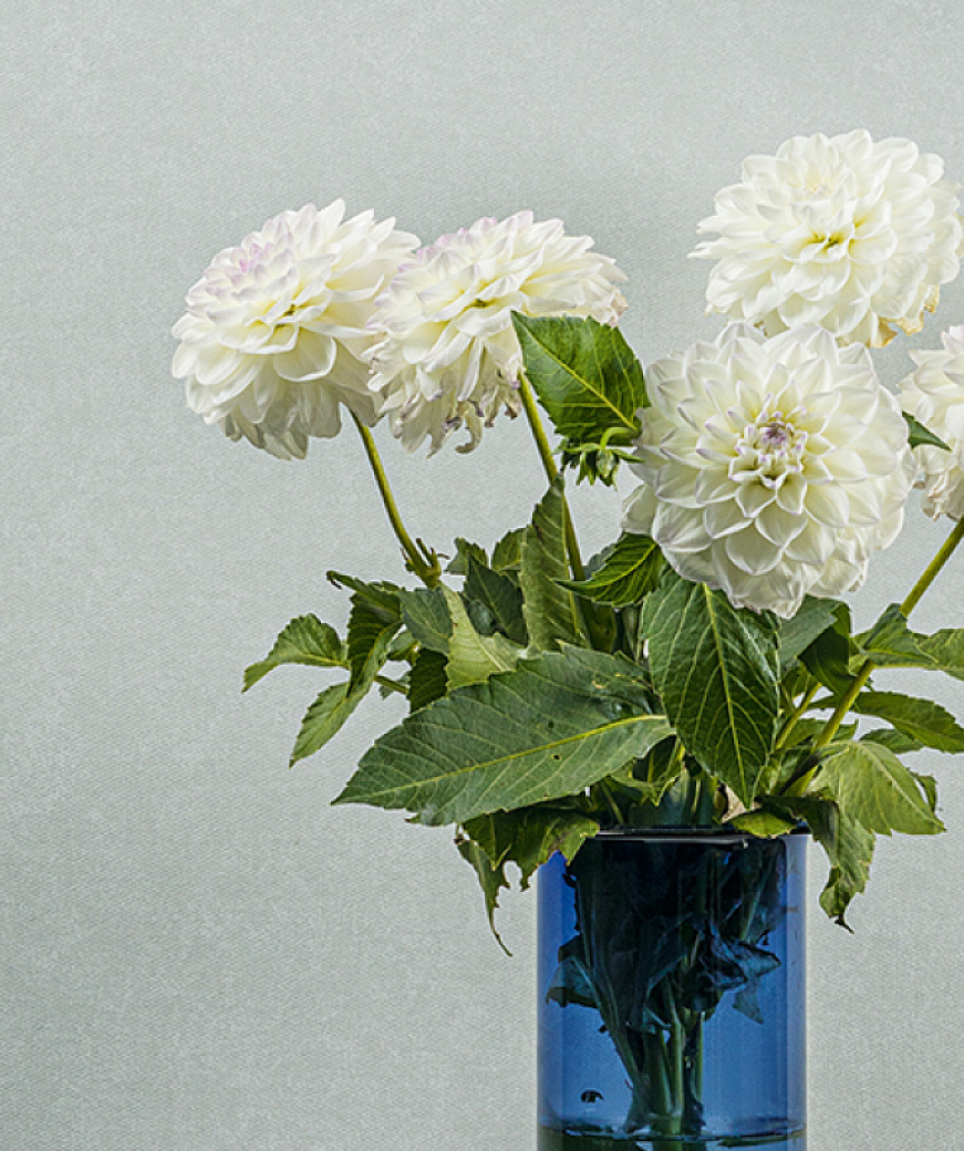 product_image_1