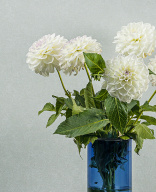 thumb_image_1