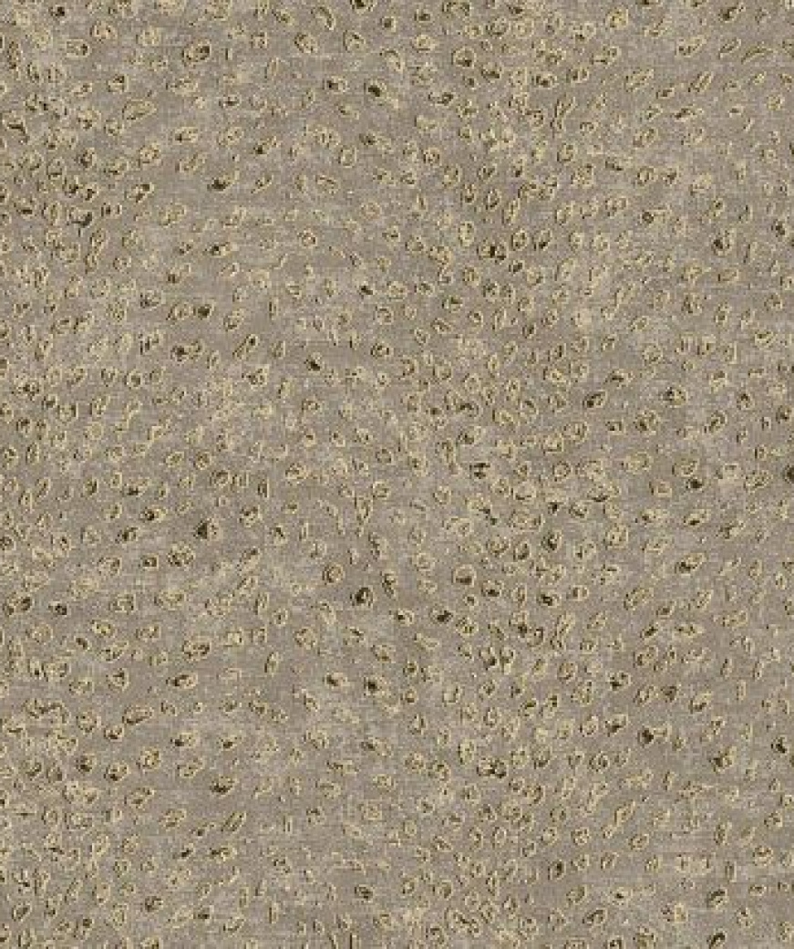 product_image_0