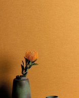 thumb_image_1